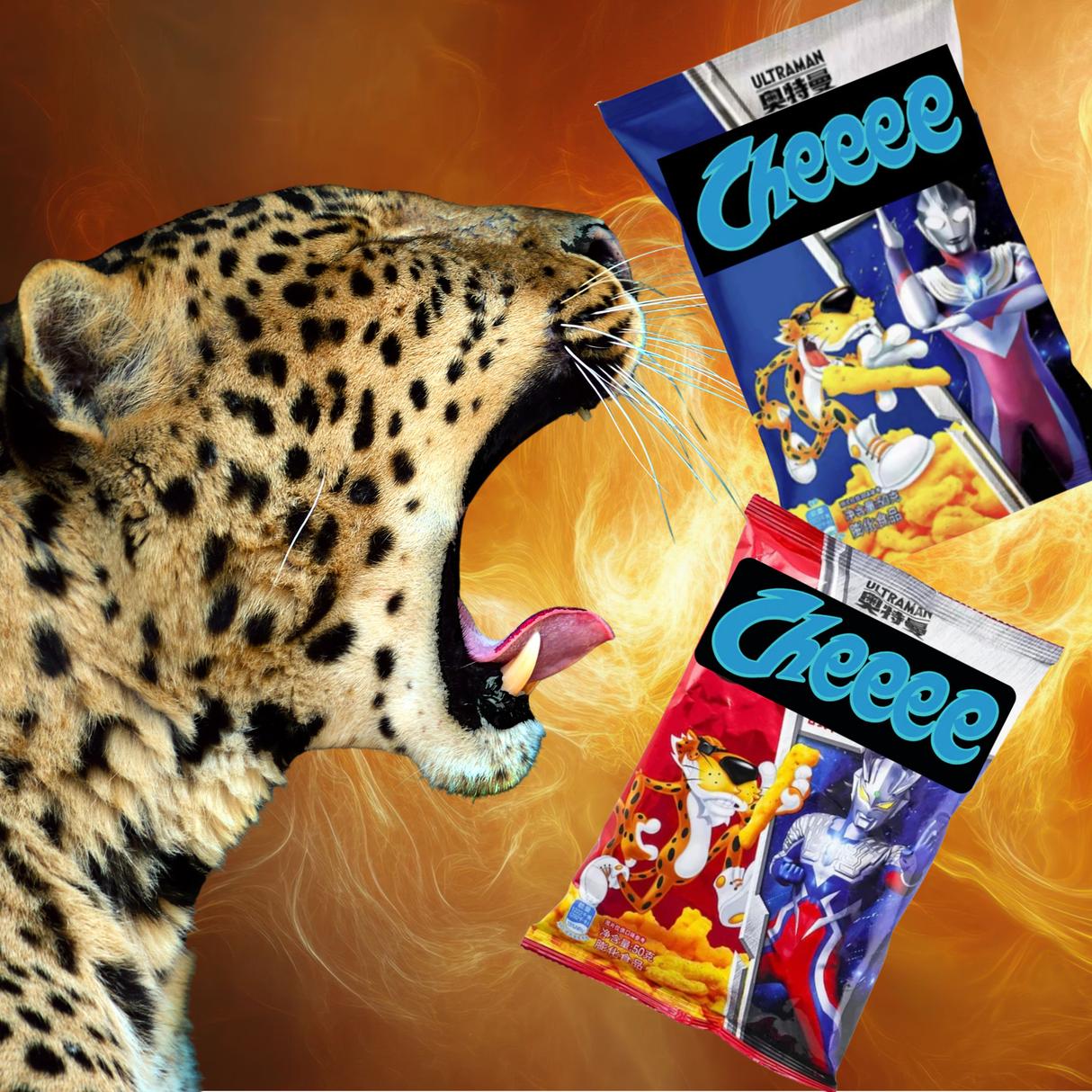 Cheeee: The Leo Bundle